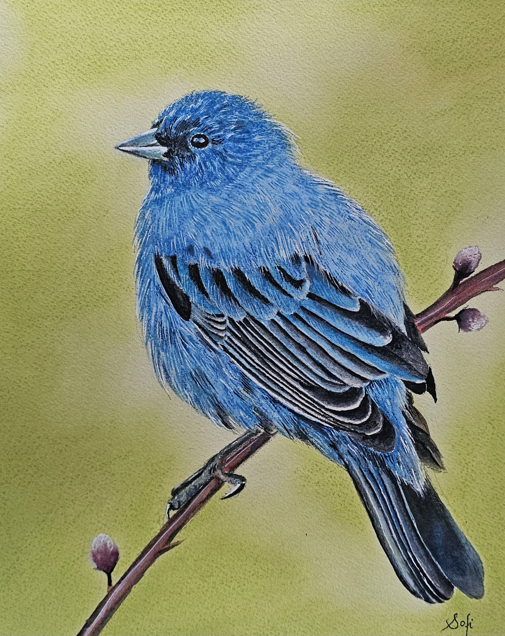 Watercolor Painting by Tattoo Artist Sofia Laishram